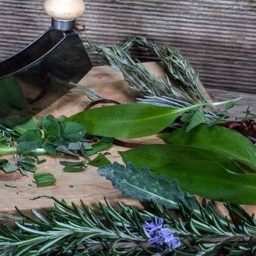 Kräuter, Färbepflanzen, Heilpflanzen - Geschichte, symbolische Bedeutung, Verwendung, Anlage von Beeten, Pflege