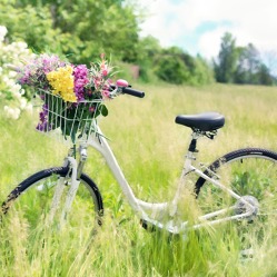 Fahrradtour Nachholtermin