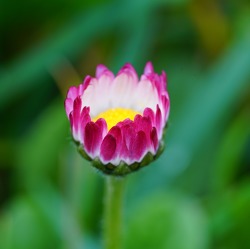 Osterfeuer mit Grillen