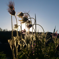 Wandertag / Erbsensuppe
